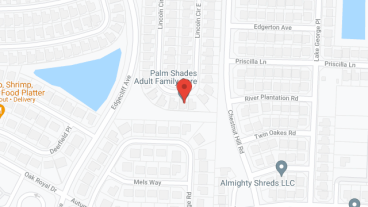 Palm Shades Adult Homes Care Inc in google map
