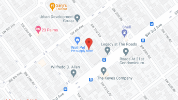 Hilda Bengochea Corp in google map