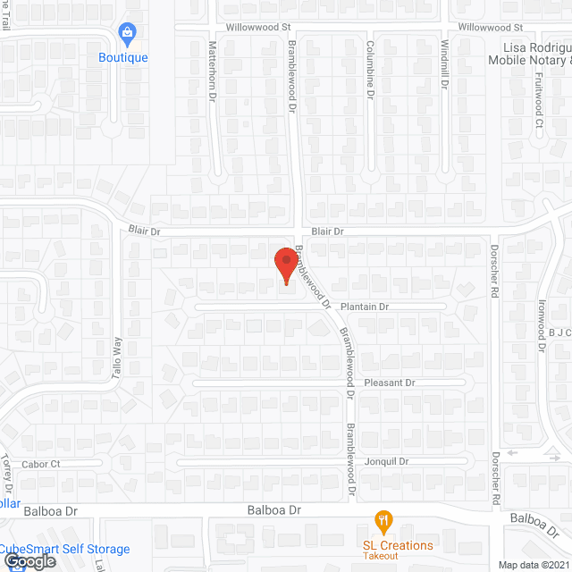 Palmer, Travis and Alicia in google map