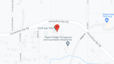 Gold Age Villa in google map