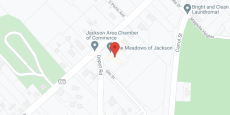 The Meadows of Jackson in google map