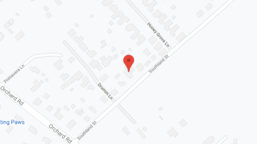 AAA Kindness Care Home in google map