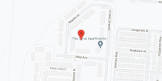 The Cove in google map