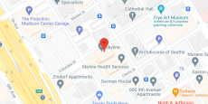 Skyline in google map