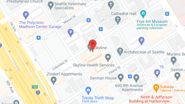 Skyline in google map