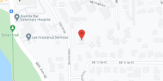 Shumway Mansion in google map