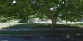 street view of Amber Pines