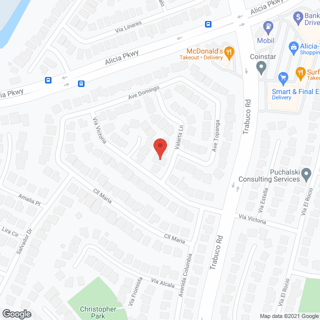 Loving Care LLC in google map