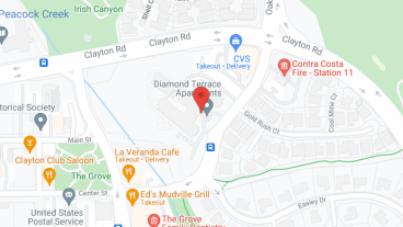 Diamond Terrace in google map