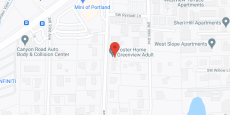 Greenview Adult Foster Home in google map
