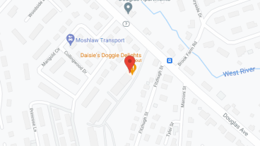 Douglas Terrace in google map