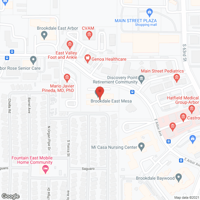 The Court at East Mesa in google map