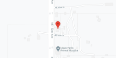 American Living Adult Family Home LLC in google map
