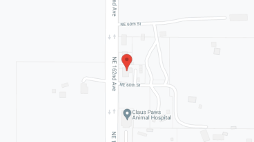 American Living Adult Family Home LLC in google map