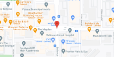 Village View of Bellevue in google map