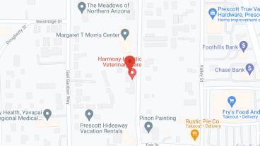 The Margaret T. Morris Center in google map