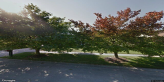 street view of Thornton Residence