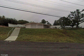 Paradise Home Cayuse 