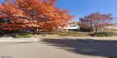 street view of Colorado Springs Elderhaven