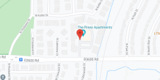 Pines in google map