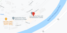 Lee County Constant Care Inc in google map
