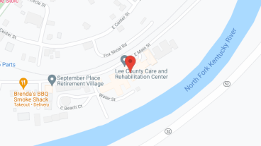 Lee County Constant Care Inc in google map