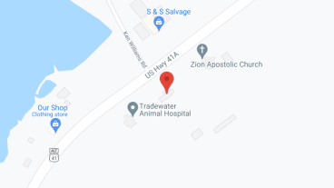 Palmer Place in google map