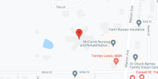 Camellia Estates in google map