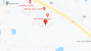 Floy Dyer Manor in google map