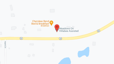 Meadows On Hillabee in google map