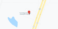 Twin Magnolias in google map
