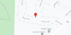 The Lemon Tree in google map