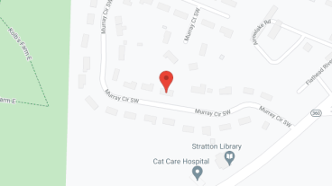 The Lemon Tree in google map
