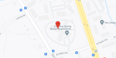 Carolina Spring in google map