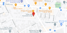 Arbor Hill in google map