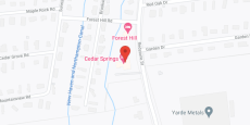 Cedar Springs in google map