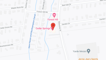Cedar Springs in google map