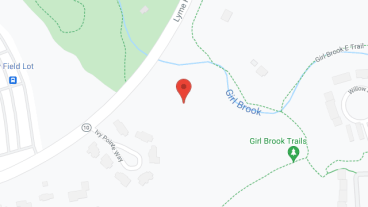 The Greens at Hanover Condominiums in google map