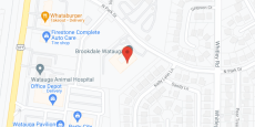 Alterra Sterling House of Watauga in google map