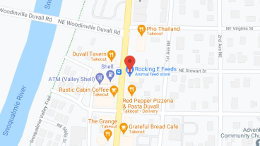 Chelsea Group Home in google map