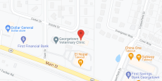 Beehive Homes of Georgetown in google map