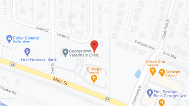 Beehive Homes of Georgetown in google map