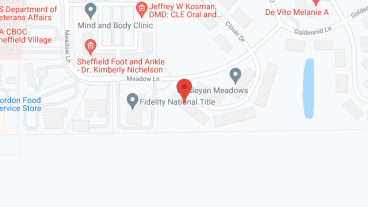Village Meadows in google map