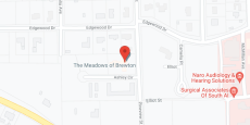 The Meadows of Brewton in google map