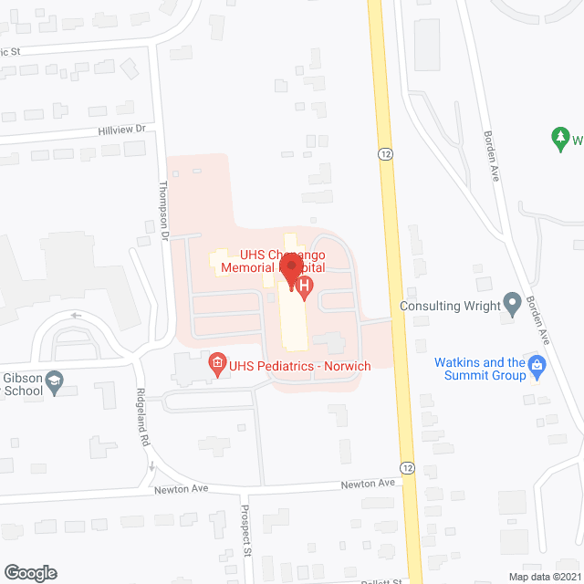 Chenango Memorial Hospital Rehab in google map