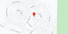 Woods in google map