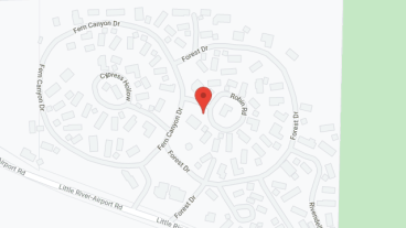 Woods in google map