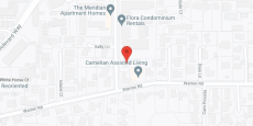 The Carnelian II in google map