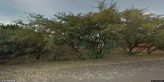 street view of Brighter Days Adult Care Home