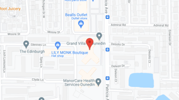 Wynwood of Dunedin in google map
